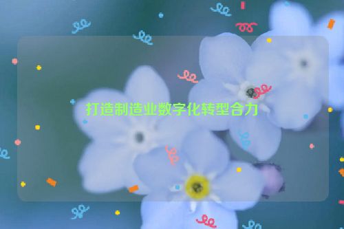 打造制造业数字化转型合力