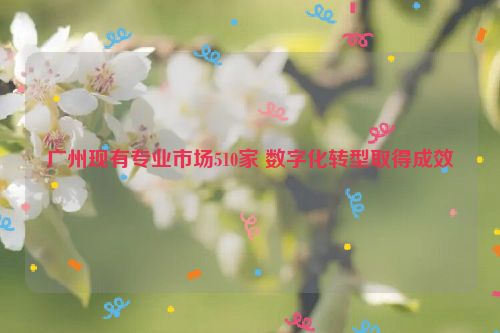 广州现有专业市场510家 数字化转型取得成效