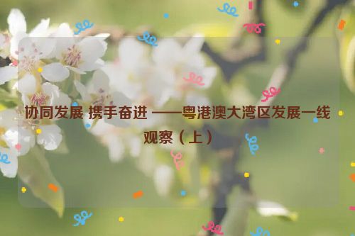 协同发展 携手奋进 ——粤港澳大湾区发展一线观察（上）