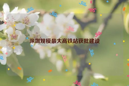 深圳规模最大高铁站获批建设