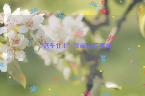 “港车北上”突破100万辆次