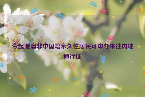 今起港澳非中国籍永久性居民可申办来往内地通行证