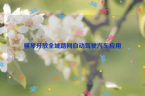 横琴开放全域路网自动驾驶汽车应用