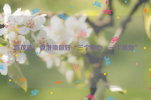 陈茂波：香港须做好“三个中心、一个高地”