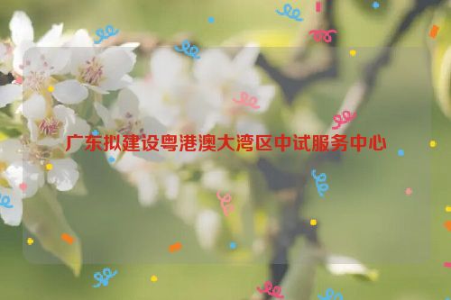 广东拟建设粤港澳大湾区中试服务中心