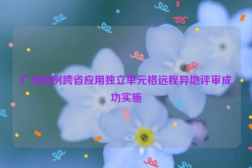 广州首例跨省应用独立单元格远程异地评审成功实施
