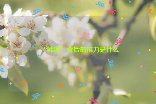 “韩流”背后的推力是什么