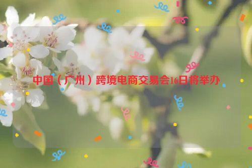 中国（广州）跨境电商交易会16日将举办