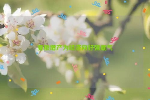夏粮增产为经济向好强底气