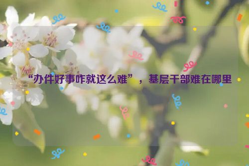 “办件好事咋就这么难”，基层干部难在哪里