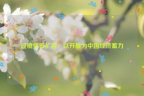 过境免签扩容，以开放为中国经济蓄力