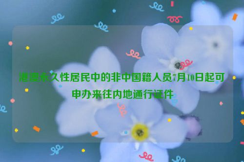 港澳永久性居民中的非中国籍人员7月10日起可申办来往内地通行证件