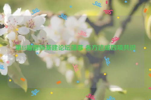 第15届国际基建论坛落幕 各方达成四项共识