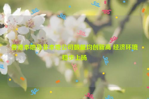 香港本地及非本地公司数量均创新高 经济环境稳步上扬