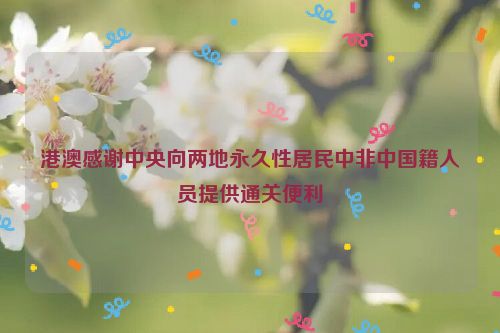 港澳感谢中央向两地永久性居民中非中国籍人员提供通关便利