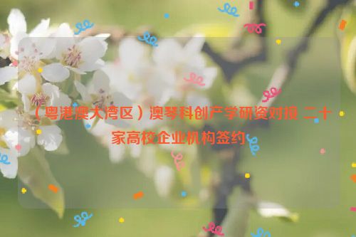 （粤港澳大湾区）澳琴科创产学研资对接 二十家高校企业机构签约
