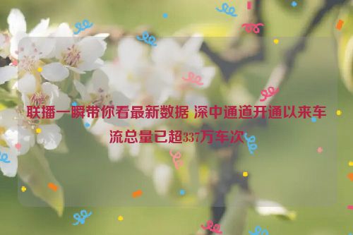 联播一瞬带你看最新数据 深中通道开通以来车流总量已超337万车次