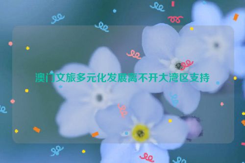 澳门文旅多元化发展离不开大湾区支持