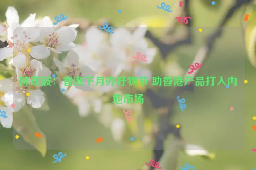 陈茂波：香港下月办好物节 助香港产品打入内地市场