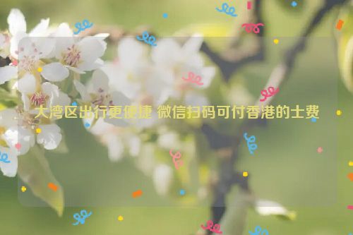 大湾区出行更便捷 微信扫码可付香港的士费
