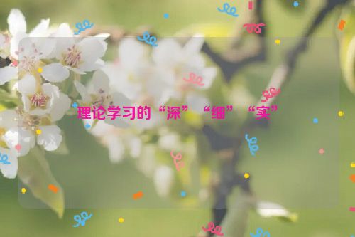 理论学习的“深”“细”“实”