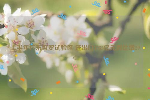 上半年广东自贸试验区 进出口3335亿元同比增29%