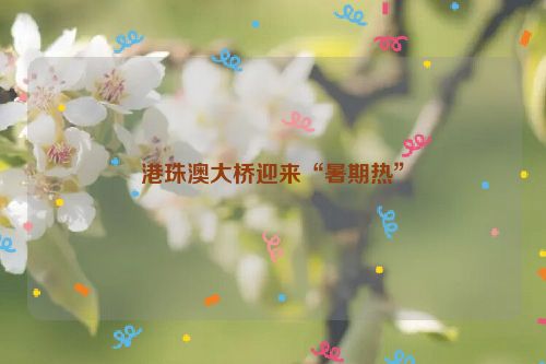 港珠澳大桥迎来“暑期热”