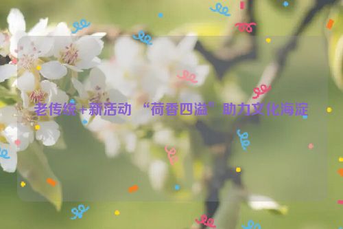 老传统+新活动 “荷香四溢”助力文化海淀
