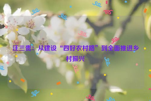 汪三贵：从建设“四好农村路”到全面推进乡村振兴