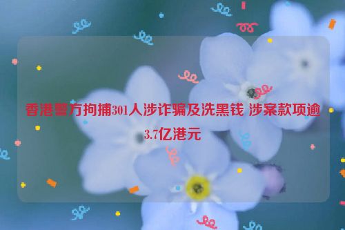香港警方拘捕301人涉诈骗及洗黑钱 涉案款项逾3.7亿港元