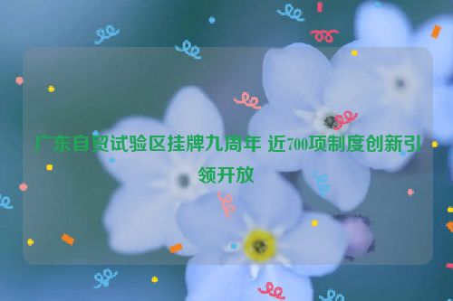 广东自贸试验区挂牌九周年 近700项制度创新引领开放