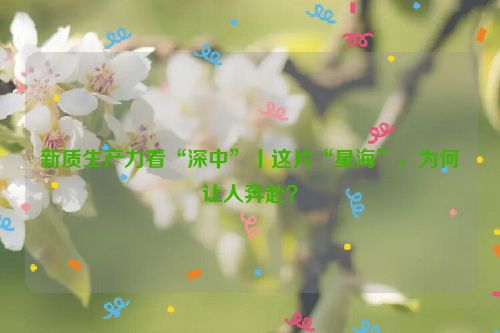 新质生产力看“深中”丨这片“星海”，为何让人奔赴？