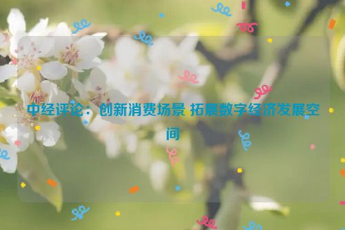 中经评论：创新消费场景 拓展数字经济发展空间