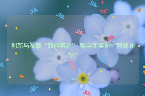 创新与发展“双向奔赴” 数字同实体“两翼齐飞”