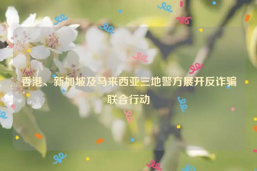 香港、新加坡及马来西亚三地警方展开反诈骗联合行动