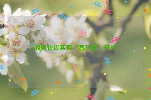 湘粤快线实现“客车化”开行