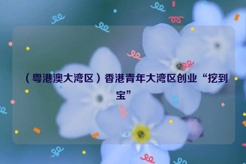 （粤港澳大湾区）香港青年大湾区创业“挖到宝”
