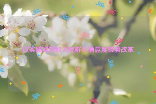 以实绩实效和人民群众满意度检验改革