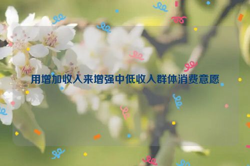 用增加收入来增强中低收入群体消费意愿