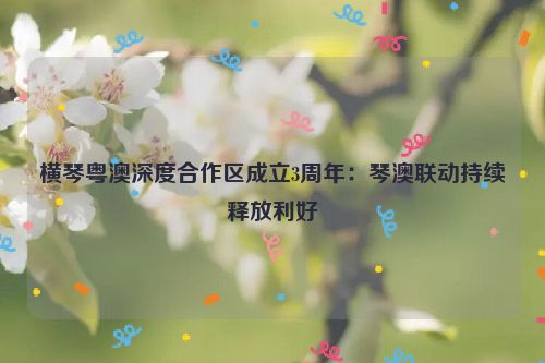 横琴粤澳深度合作区成立3周年：琴澳联动持续释放利好