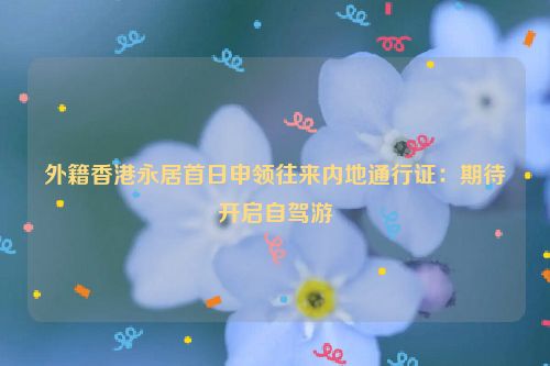 外籍香港永居首日申领往来内地通行证：期待开启自驾游