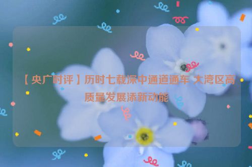 【央广时评】历时七载深中通道通车 大湾区高质量发展添新动能