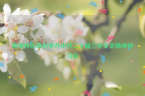 香港特区政府举办中共二十届三中全会精神研习会