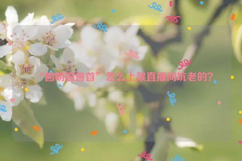 “圆明园兽首”怎么上架直播间坑老的？