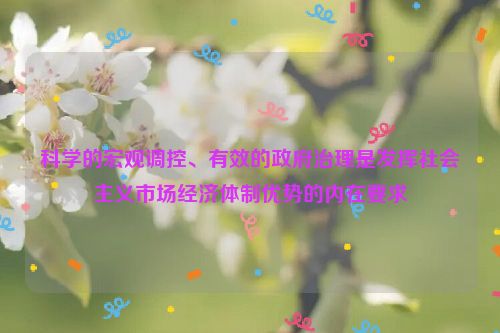 科学的宏观调控、有效的政府治理是发挥社会主义市场经济体制优势的内在要求