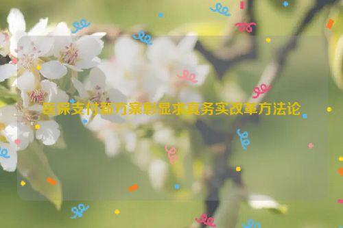 医保支付新方案彰显求真务实改革方法论