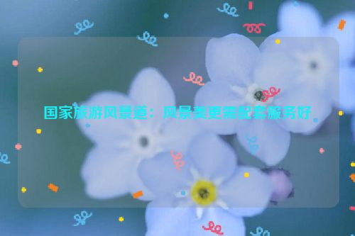 国家旅游风景道：风景美更需配套服务好