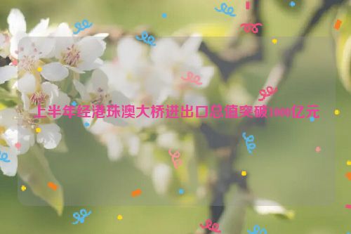 上半年经港珠澳大桥进出口总值突破1000亿元