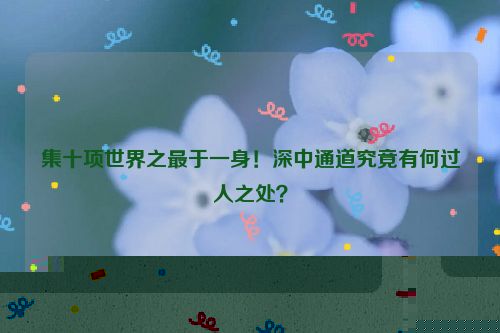 集十项世界之最于一身！深中通道究竟有何过人之处？