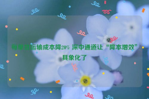 每单货运输成本降20% 深中通道让“降本增效”具象化了